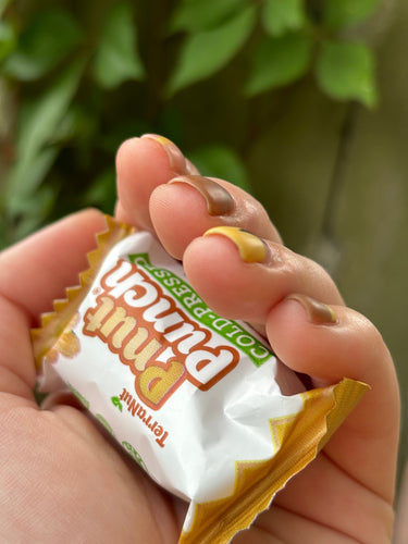 A close-up of a person holding a single individually wrapped TerraNut Pnut Punch cold-pressed snack bar in their hand against a green leafy background.